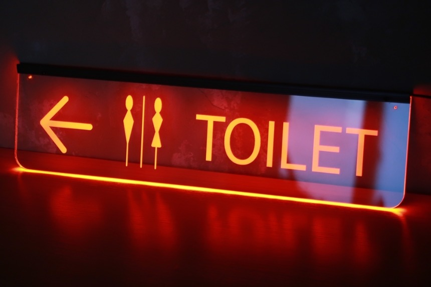 Toilet sign, sign, information sign, male and female pictogram, disabled person, protruding guide sign